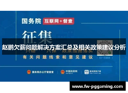 赵鹏欠薪问题解决方案汇总及相关政策建议分析