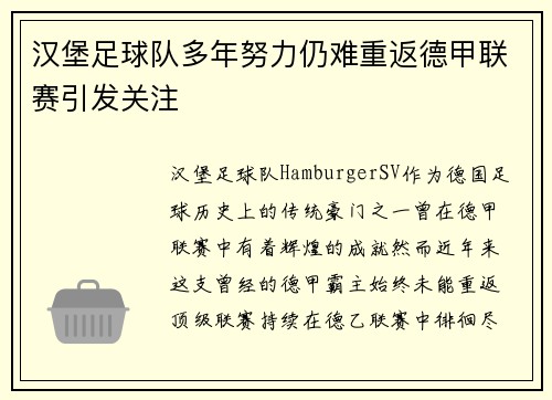 汉堡足球队多年努力仍难重返德甲联赛引发关注 汉堡足球队多年努力仍难重返德甲联赛引发关注